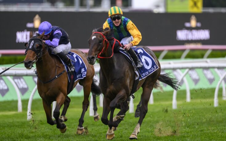 利来证明自 利来证明自