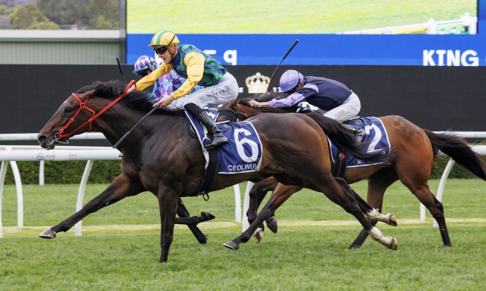 曝開出5300萬歐元報價 曼城接近簽下雷恩邊鋒傑裏米·多庫！.