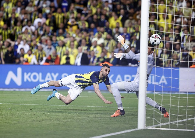 综上所述 综上所述