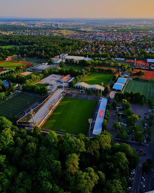 高冷與典雅 高冷與典雅